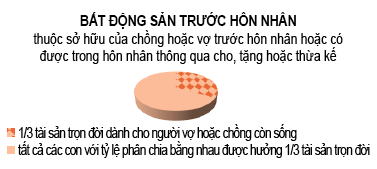 Biểu đồ bất động sản riêng Biểu đồ bất động sản riêng